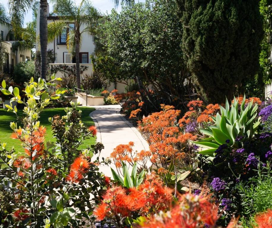 austin landscape design