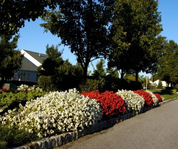commercial landscaping in austin