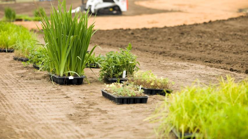 landscaping installation services austin